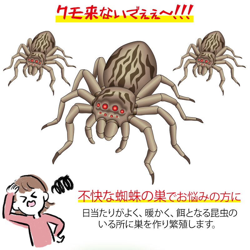 日本製 Keep Away 蜘蛛 クモ くも カメムシ かめむし 駆除用即効性忌避剤 天然成分 スパイダー、バイバイ! (300ml入り)よけ 避ける  除ける 追い出す スプレー