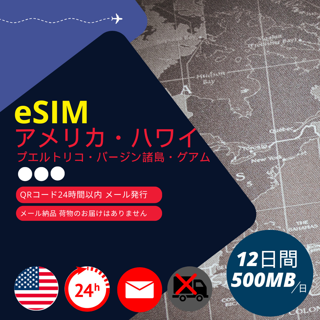 yAJeSIM (č{yEnCEO@EvGgREo[W)z[Ŕ[i(24ԈȓEו) 12 f[^ʐMp 1500B