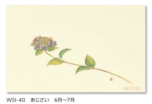 尺一まっと　四季の花　１袋（１００枚入）｜meijiya-store｜06