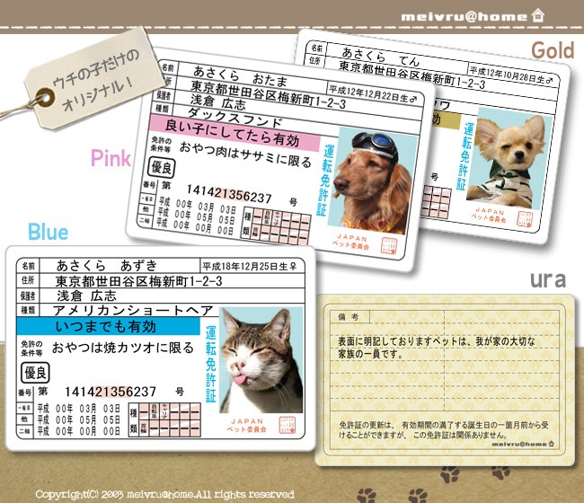 なめ猫 免許証6枚Fullセット♪+ α （復刻版）オマケ なめ猫 免許証6枚Fullセット♪+ α （復刻版）オマケ - メルカリ