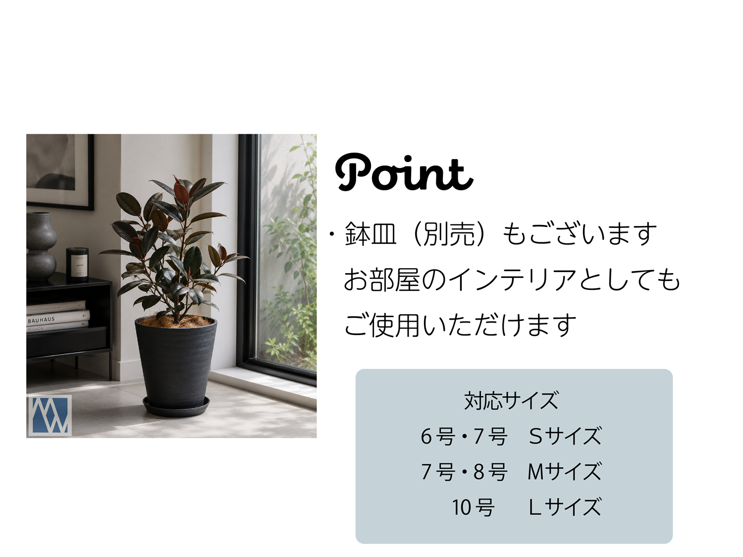 植木鉢 6号 花 観葉植物 軽量 プラスチック鉢 セラアート : MEIWACO