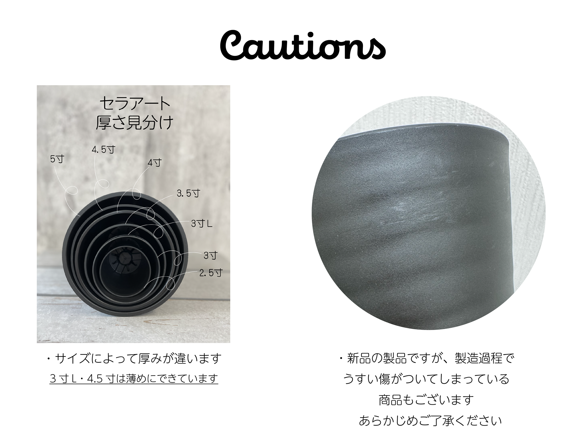 植木鉢 3.5号 10個セット 多肉植物 サボテン ミニ観葉植物 実生 育苗