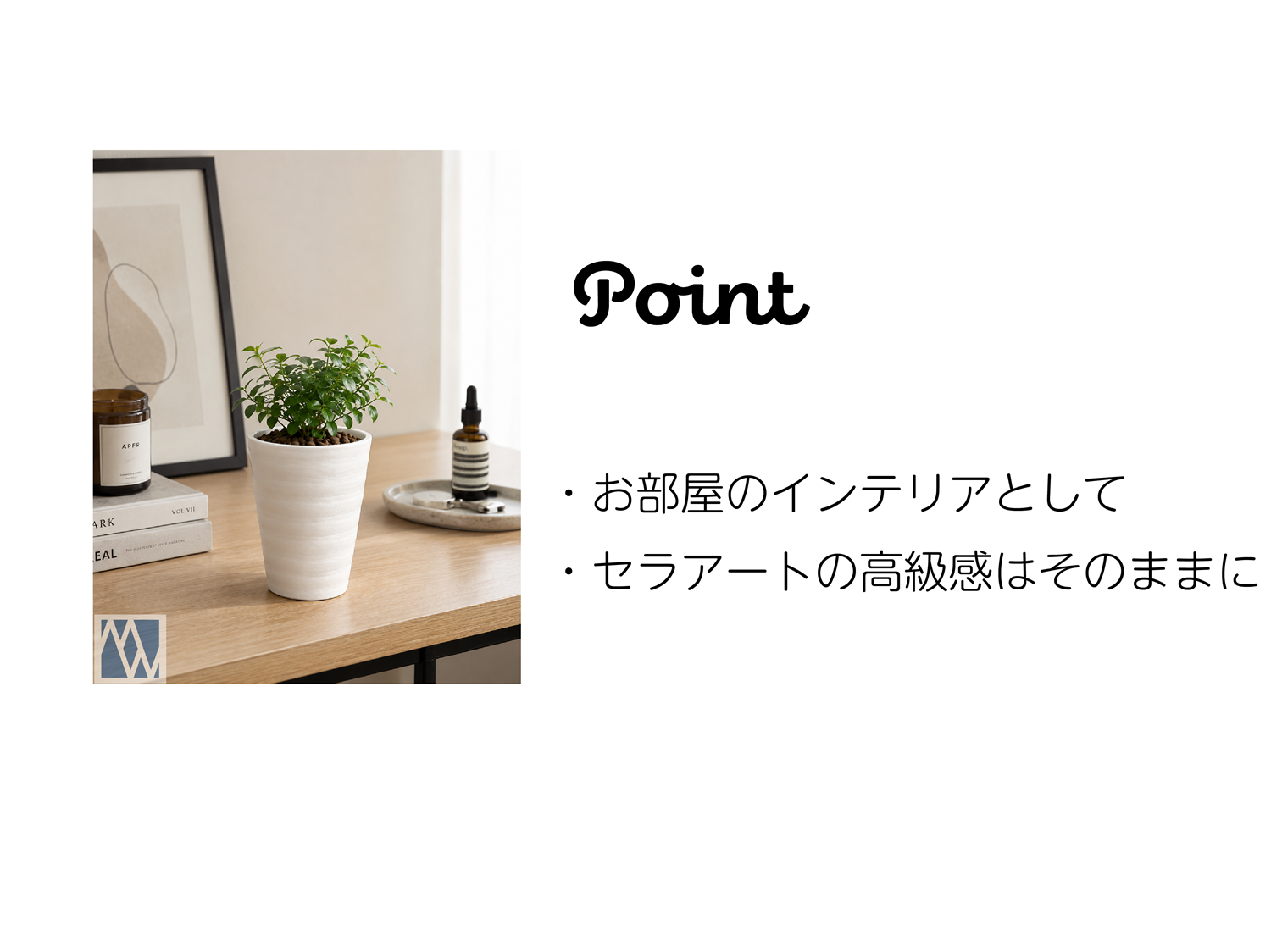 植木鉢 4号 5鉢セット サボテン ミニ観葉植物 実生 育苗 軽量