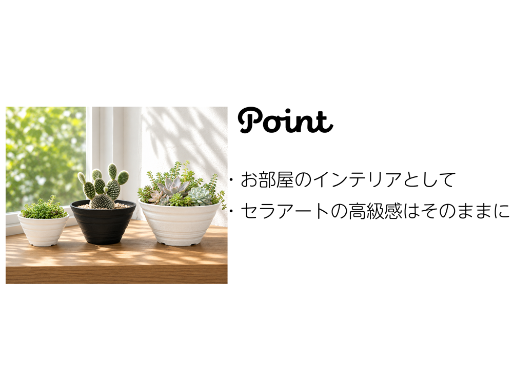 植木鉢 平鉢 9号 50個セット 多肉植物 サボテン ミニ観葉植物 実生