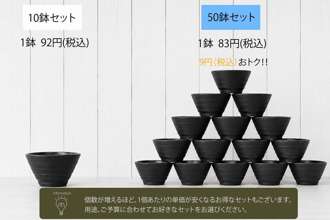 植木鉢 平鉢 12号 50個セット 多肉植物 サボテン ミニ観葉植物 実生