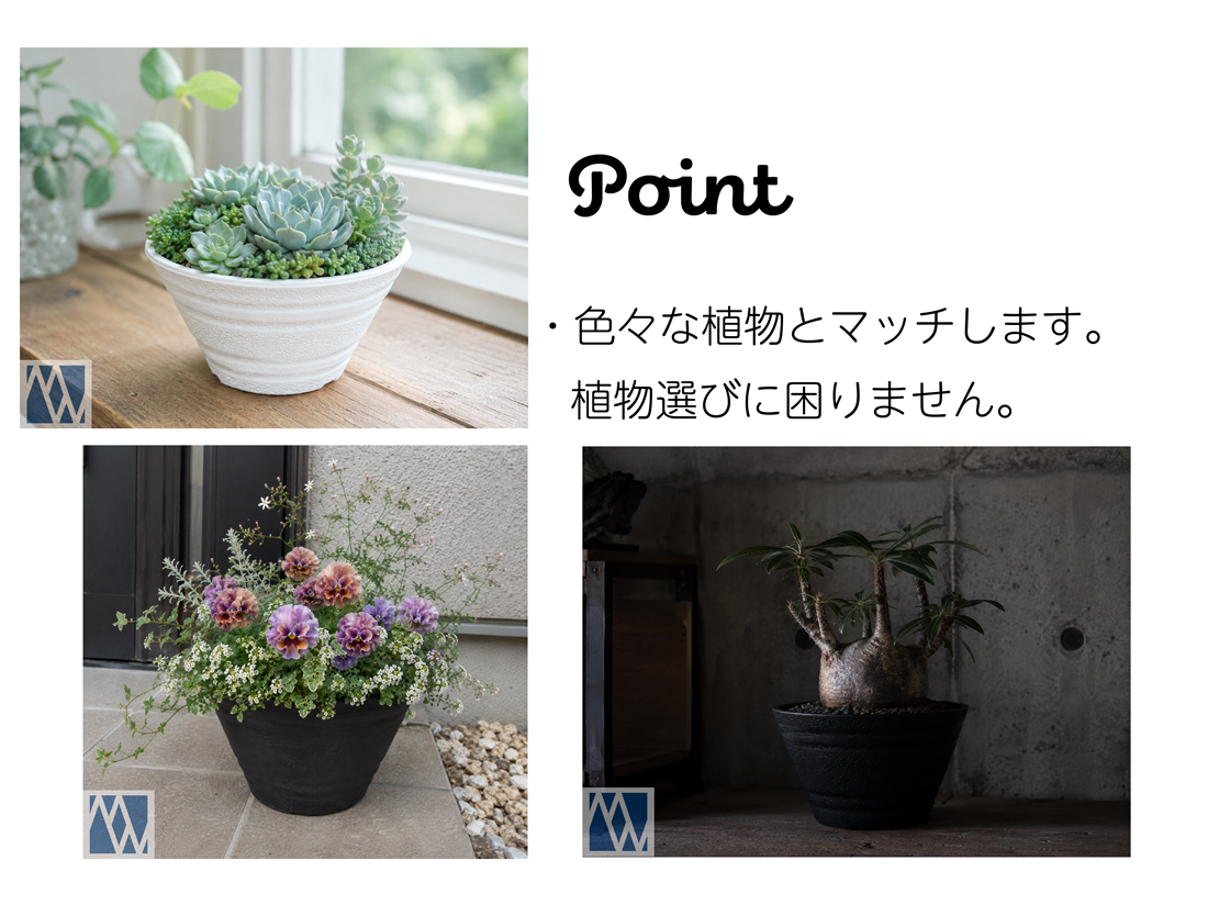 植木鉢 平鉢 21号 花 多肉植物 サボテン ミニ観葉植物 実生 育苗 軽量