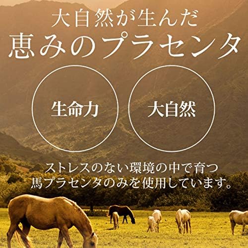タイトル画像