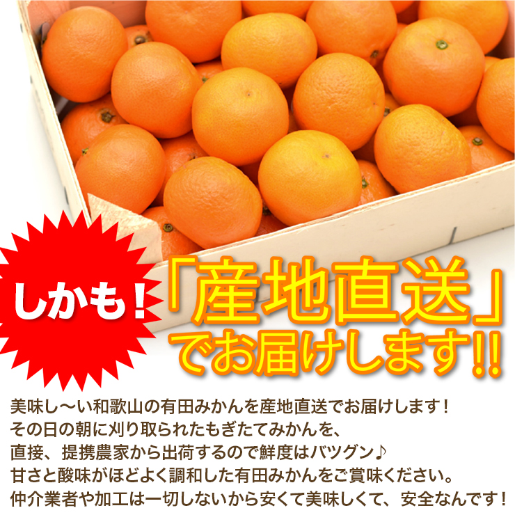 みかん 10kg 有田みかん 和歌山ミカン 蜜柑 秀品 高級みかん 送料無料