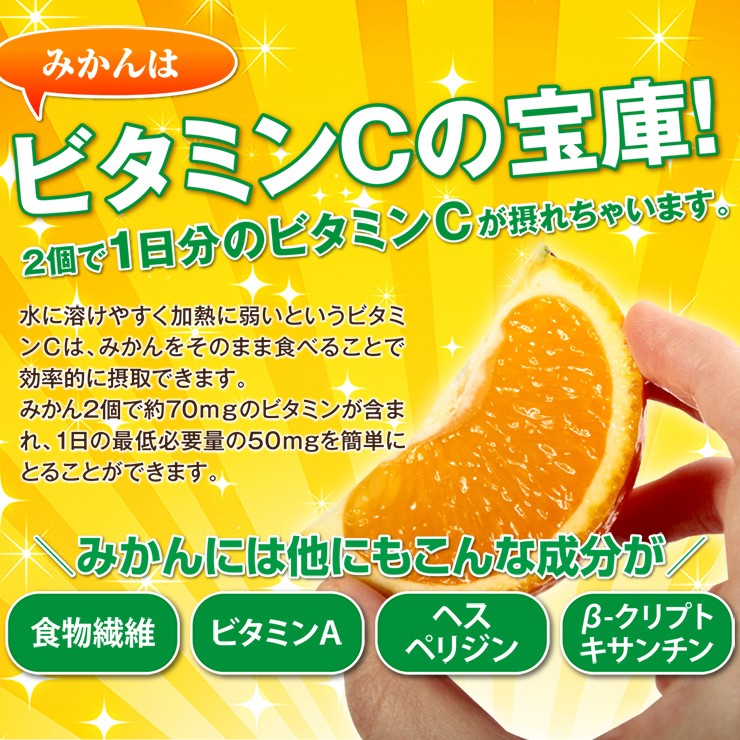 みかん 10kg 有田みかん 和歌山ミカン 蜜柑 秀品 高級みかん 送料無料