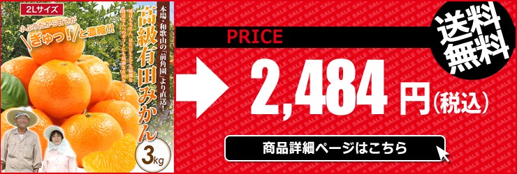 みかん 10kg 有田みかん 和歌山ミカン 蜜柑 秀品 高級みかん