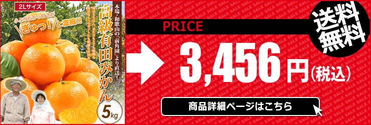 みかん 10kg 有田みかん 和歌山ミカン 蜜柑 秀品 高級みかん 送料無料