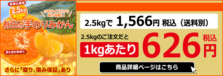 みかん 小粒 訳あり 有田 こつぶみかん 蜜柑 ミカン 送料無料 10キロ