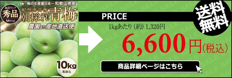 青梅 青うめ 南高青梅 Mサイズ 梅酒用 朝採れ青梅 10.0kg 10キロ 送料