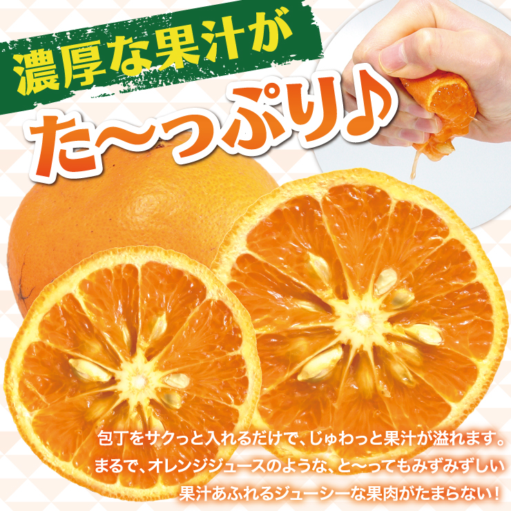 訳あり なつみ 5kg オレンジ 5.0kg 産地直送 和歌山 有田 みかん