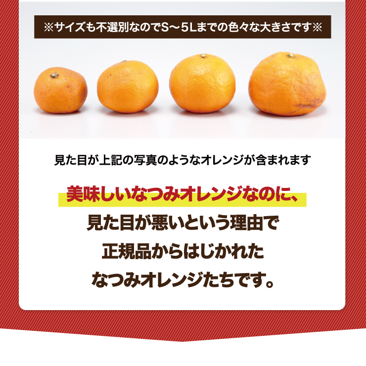 訳あり なつみ 5kg オレンジ 5.0kg 産地直送 和歌山 有田 みかん