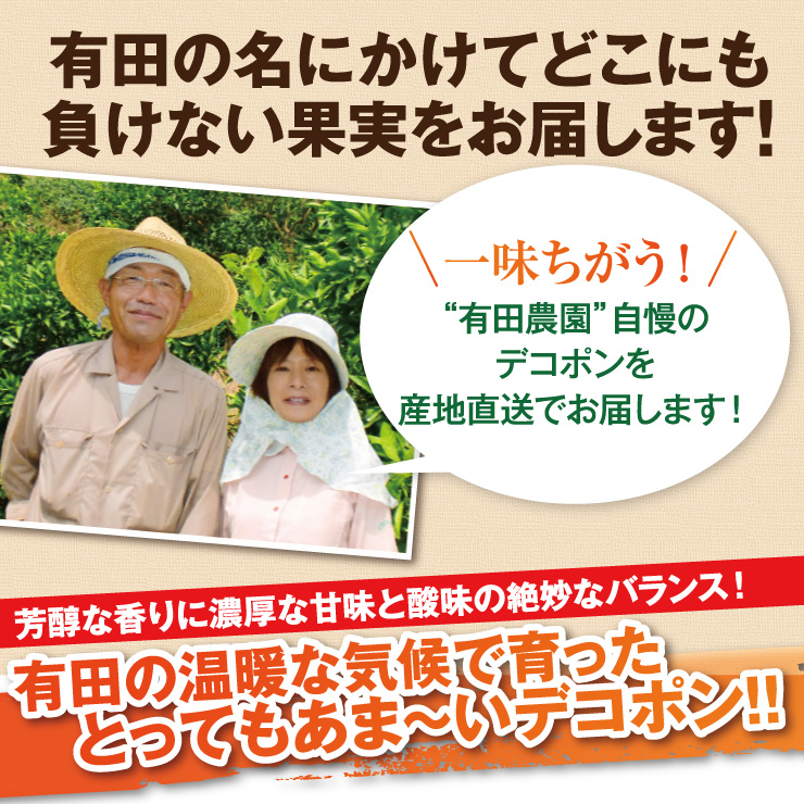 訳あり デコポン 10.0kg 無選別 ご家庭用 有田 箱買い 産地直送 送料