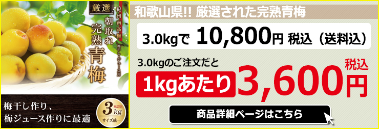 紀州南高梅 厳選 朝取れ 完熟 青梅 青うめ 生梅 10.0kg 10キロ 送料