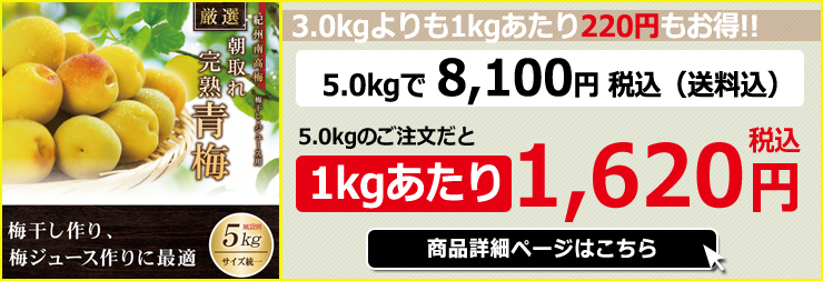 紀州南高梅 厳選 朝取れ 完熟 青梅 青うめ 生梅 3kg 3キロ L 2L 3L 4L