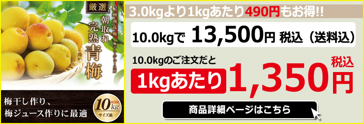 紀州南高梅 厳選 朝取れ 完熟 青梅 青うめ 生梅 10.0kg 10キロ 送料