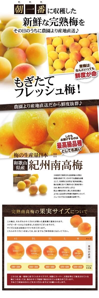 あんこ　南高梅　１０キロ umebosi600-600-b.jpg
