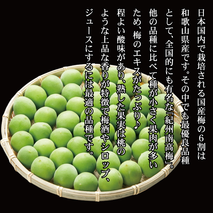 紀州南高梅 厳選 朝取れ 青梅 梅 生梅 梅酒用 5.0kg 5キロ 加工用 送料