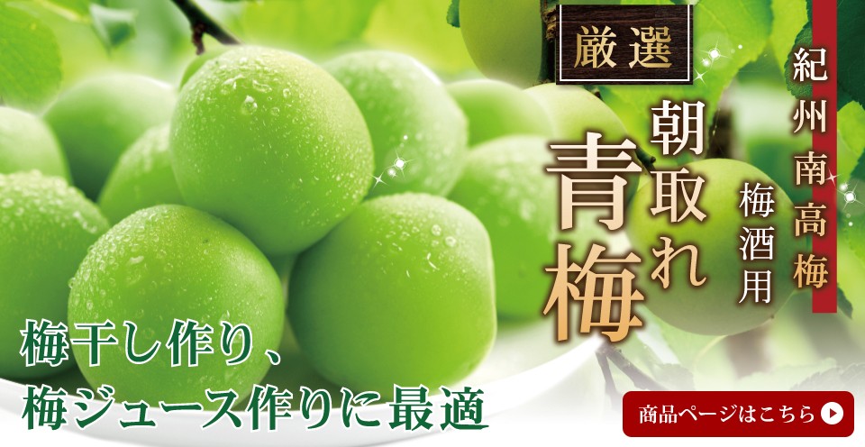 紀州南高梅 厳選 朝取れ 完熟 青梅 青うめ 生梅 10.0kg 10キロ 送料