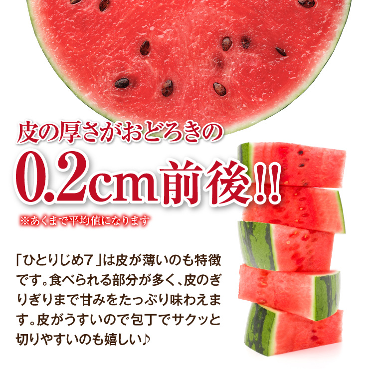 和歌山 すいか スイカ 産地直送 送料無料 ひとりじめ7 2玉入り