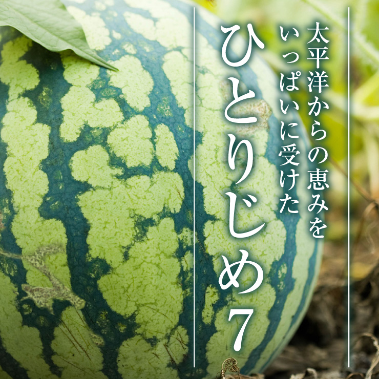 スイカページです⭐︎ 楽天市場】熊本県より産地直送 JA熊本市 黒小玉スイカ(ひとりじ