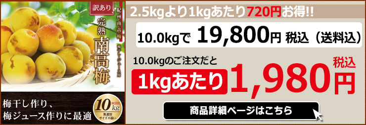 紀州南高梅 訳あり 完熟 青梅 10.0kg 10キロ 不揃い（M〜3L