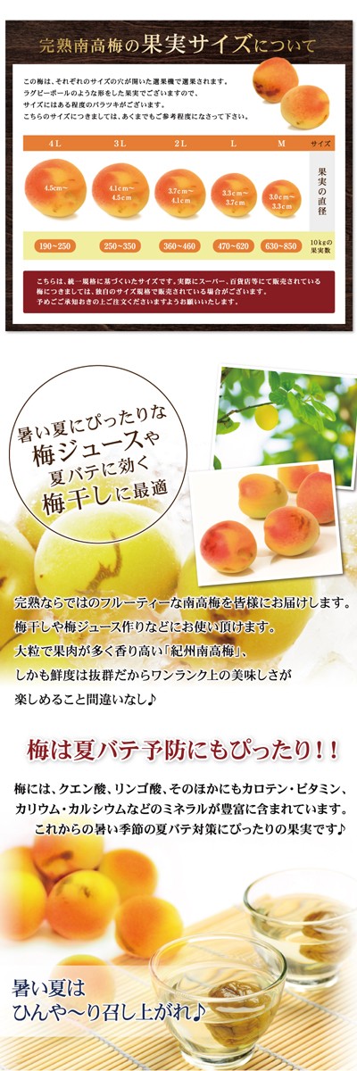 南高梅（完熟）訳あり　３Ｌサイズ　箱込み１０ｋｇ　梅干し用　滝清園30-3 完熟梅 梅干用 （南高梅） 10kg （3Lサイズ） 送料無料 みなべ産