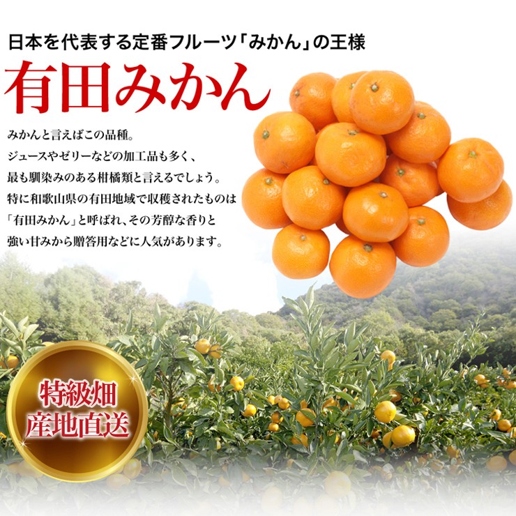 極み 有田みかん 5キロ 特級畑の極み 訳あり 蜜柑 ミカン サイズ