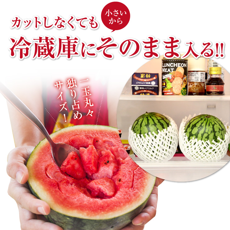 小玉スイカ3ケースまとめ買い Amazon.co.jp: スイカ 小玉スイカ 【KSK出荷組合】 訳あり 西瓜