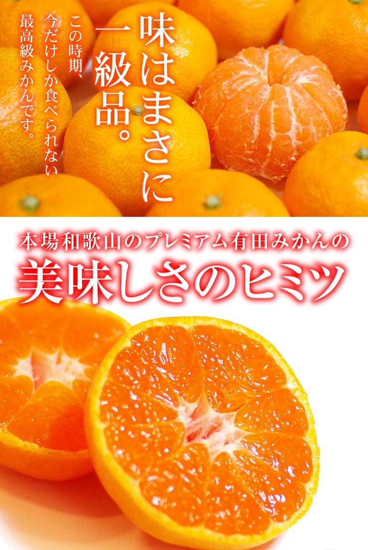 桐箱入り プレミアム 有田みかん 約5kg 秀品 職人 高級みかん みかん