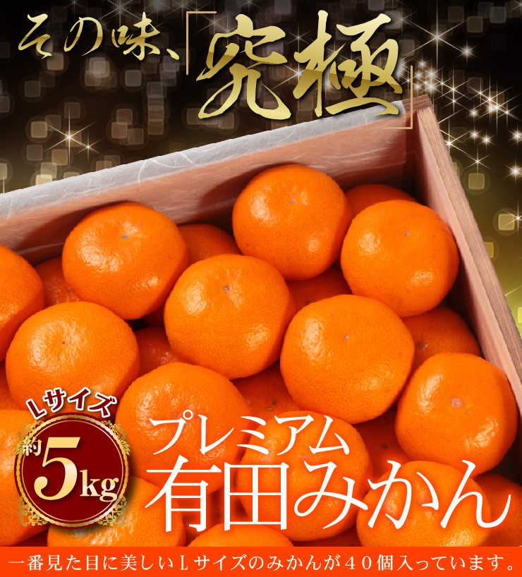 桐箱入り プレミアム 有田みかん 約5kg 秀品 職人 高級みかん みかん