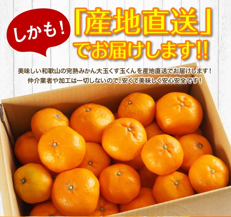完熟みかん くす玉くんジュニア 2L以下 産地直送 訳あり 箱買い 和歌山
