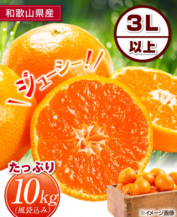 完熟みかん くす玉くん大玉 産地直送 訳あり 箱買い 家庭用 和歌山県