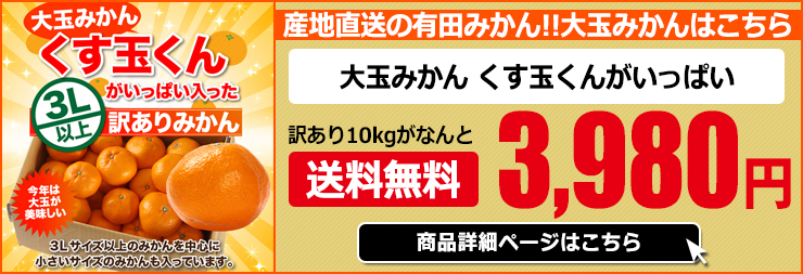 人気絶頂 訳あり みかん 送料無料 10kg くす玉くんジュニア 直送 安い 有田 蜜柑 産地直送 自宅用 小粒 箱買い 糖度 10キロ 小さい  小さめ 和歌山県産 甘い www.vintapix.mx