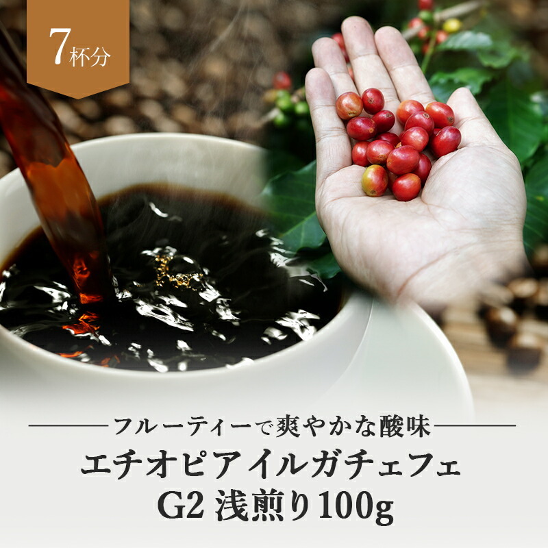 コーヒー豆 エチオピア イルガチェフェ G2 モカ 浅煎り 1kg