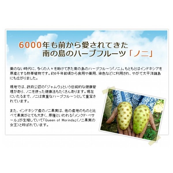 Dr.NONI 本しぼりノニ果汁100％ 無添加ジュース 900ml ビワ粉末 免疫 お茶 花粉症 : noni-eki : メロディ薬店 - 通販  - Yahoo!ショッピング