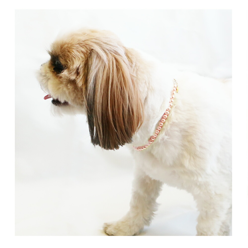 ペット アクセサリー 犬用ネックレス 首輪 チョーカー 犬 いぬ ねこ 猫 