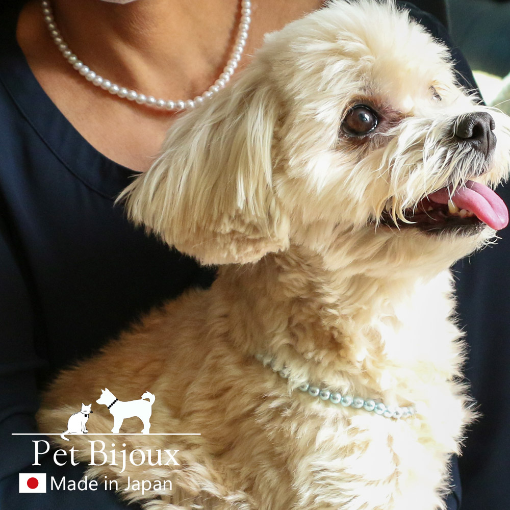 超PayPay祭 ペット アクセサリー ドッグ K18GP 犬用 ネックレス 首輪