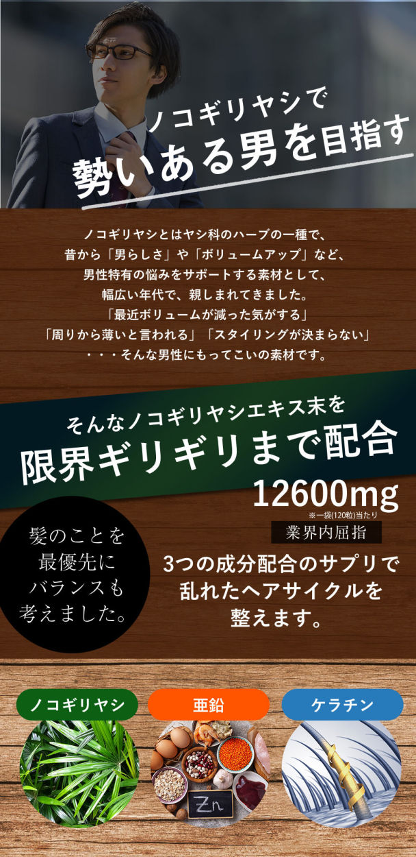 ノコギリヤシ 育毛 サプリ aga 対策dot. ノコギリヤシ12600mg配合