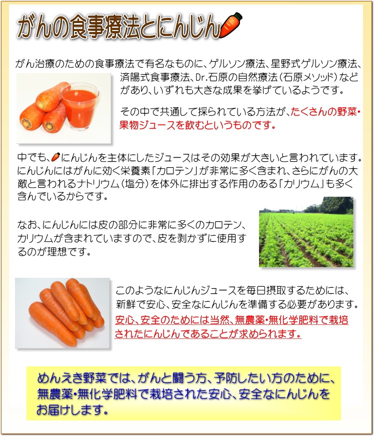 がんの食事療法とにんじんジュース めんえき野菜 通販 Yahoo ショッピング