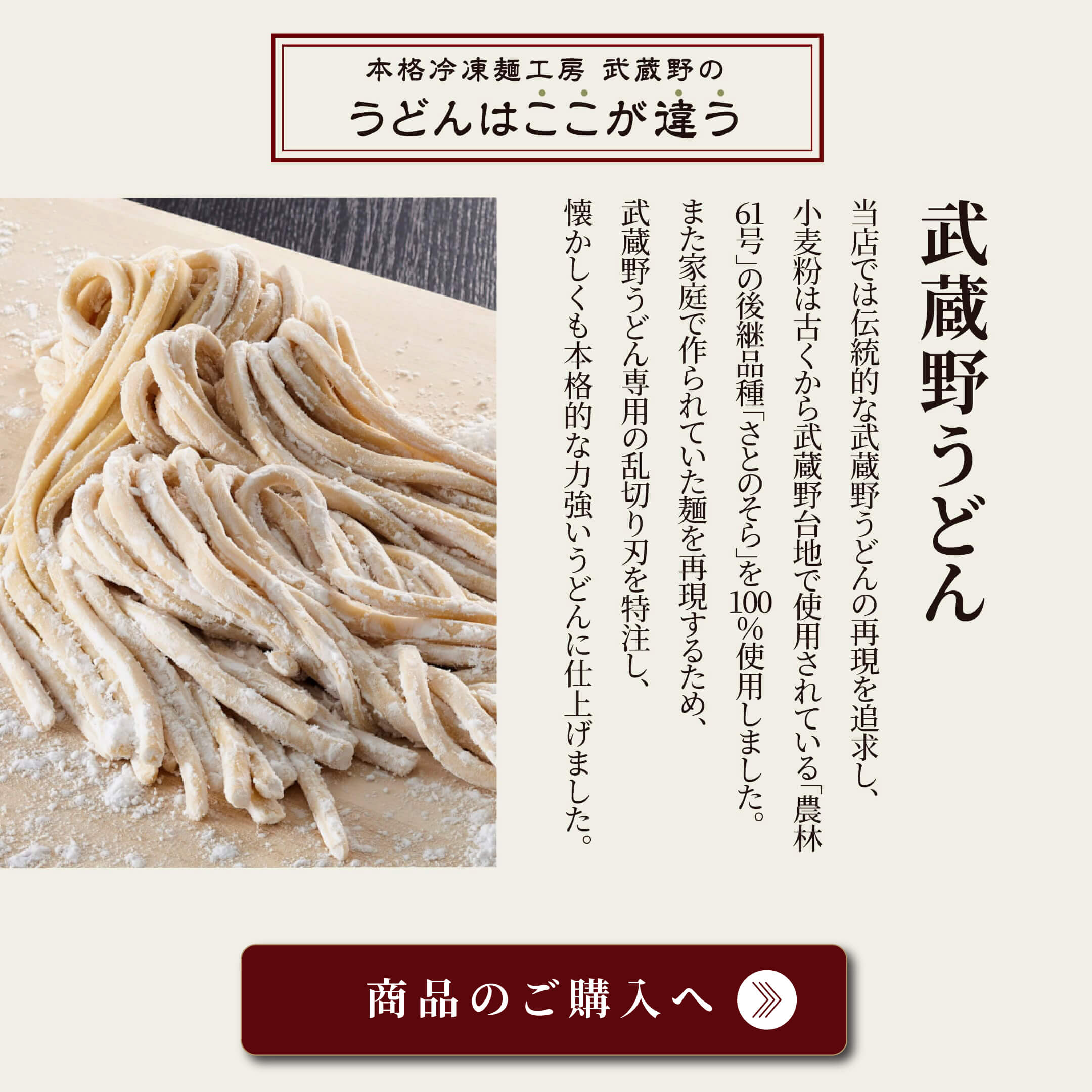 武蔵野うどん 5食 埼玉 名物 肉汁うどんに最適 ご当地グルメ 埼玉