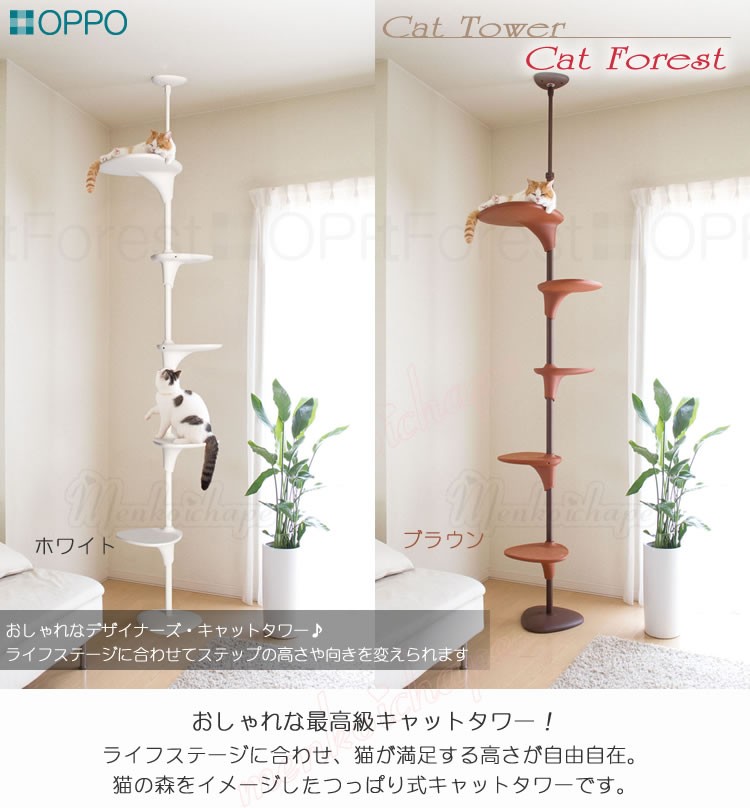 楽天市場 Oppo キャットフォレスト ホワイト ブラウン 商品券プレゼント 省スペース 突っ張り式のスリムで おしゃれなキャットタワー オッポ Catforest 同梱 人気絶頂 Tv Creativetalentnetwork Com