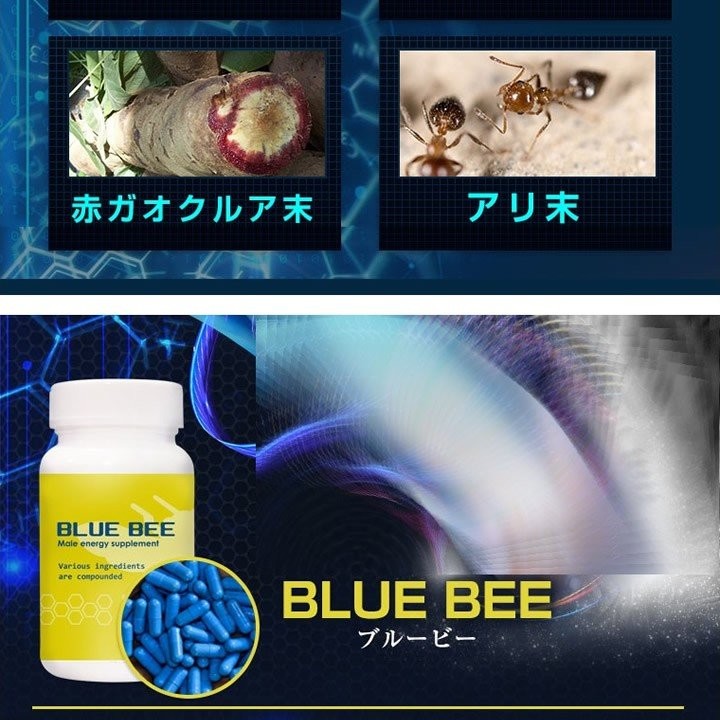 ブルービー BLUE BEE メンズ サプリメント 健康食品 パワー 活力 元気 シトルリン アルギニン マカ 冬虫夏草  :mr-2381:メンズレスキューYahoo!店 - 通販 - Yahoo!ショッピング