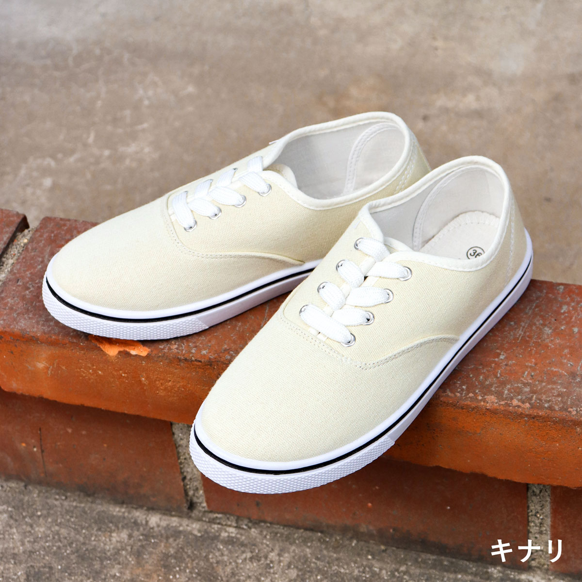 AAA+（サンエープラス） スニーカー キャンバス レースアップ 紐
