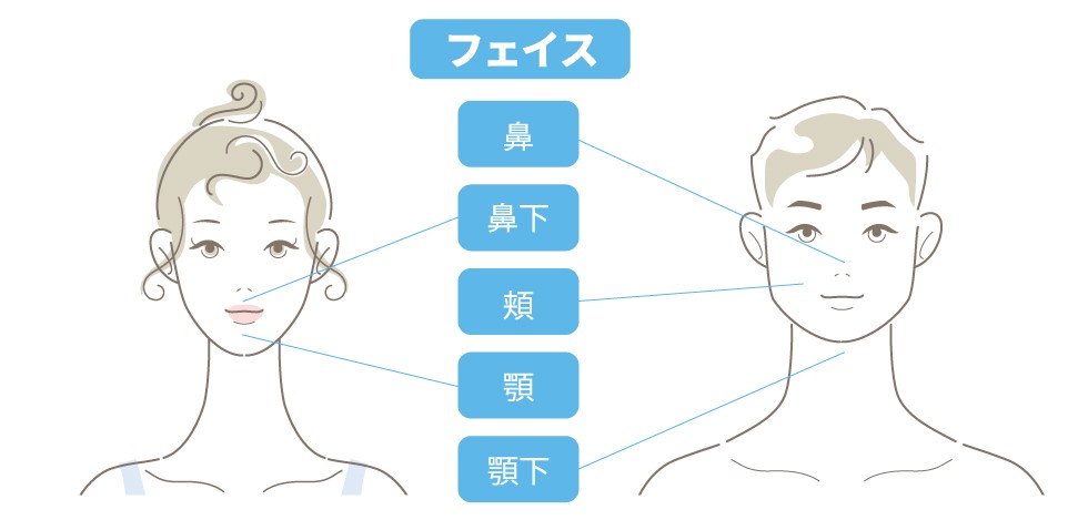 脱毛、除毛、エステ、美肌、美容機器、美顔器、脱毛器、サロン、エピレスト、epirest、バストアップ、ヒゲ脱毛、ワキ脱毛、スネ脱毛、ムネ脱毛、剛毛脱毛、Vゾーン処理、ムダ毛処理、フェイフャルエステ、フェイスケア