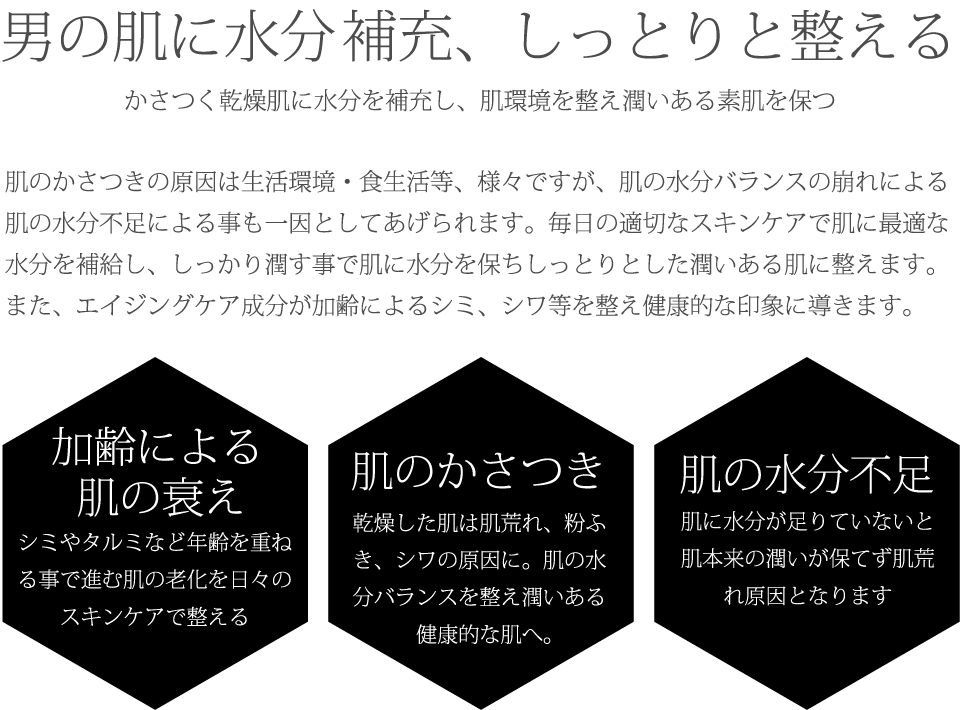 DiNOMENフェイスローション ドライ,ディノメン,男性化粧品,メンズコスメ,メンズスキンケア,エイジングケア,メンズコスメ,エイジングケア,ヘアケア,ボディケア,化粧水,身嗜み