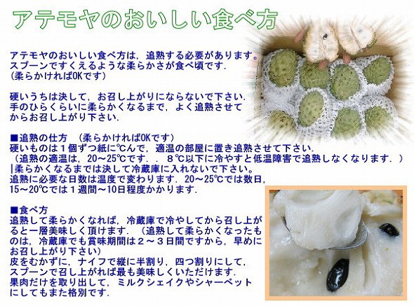アテモヤ　2KG　バラバラサイズ　10個前後 訳あり アテモヤ 2kg (キズ有、サイズバラバラ）発送1月~3月